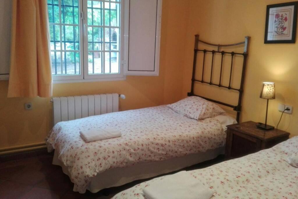 Casa Rural La Vega Cazalla de la Sierra Esterno foto