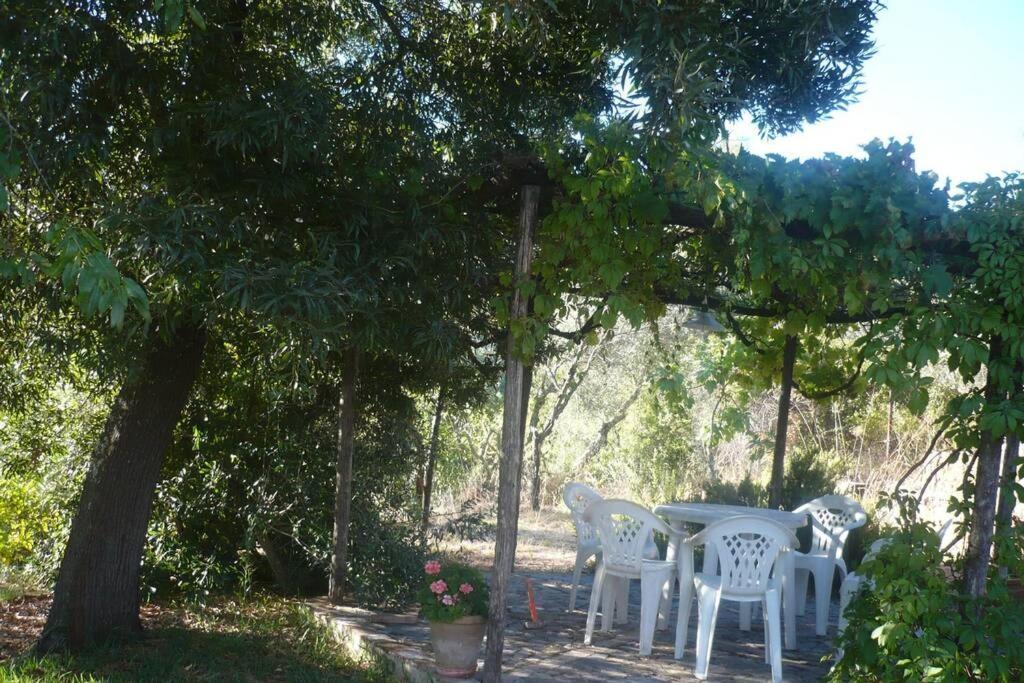 Casa Rural La Vega Cazalla de la Sierra Esterno foto