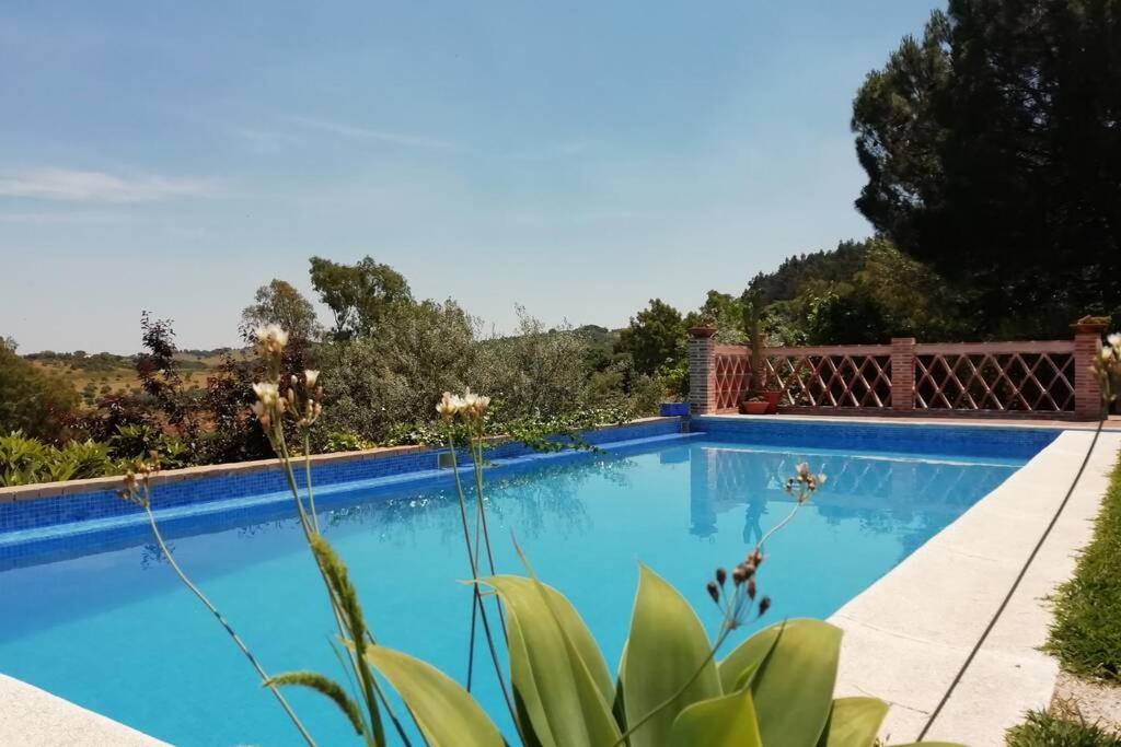 Casa Rural La Vega Cazalla de la Sierra Esterno foto