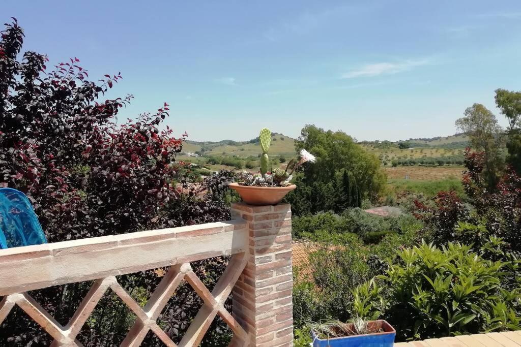 Casa Rural La Vega Cazalla de la Sierra Esterno foto